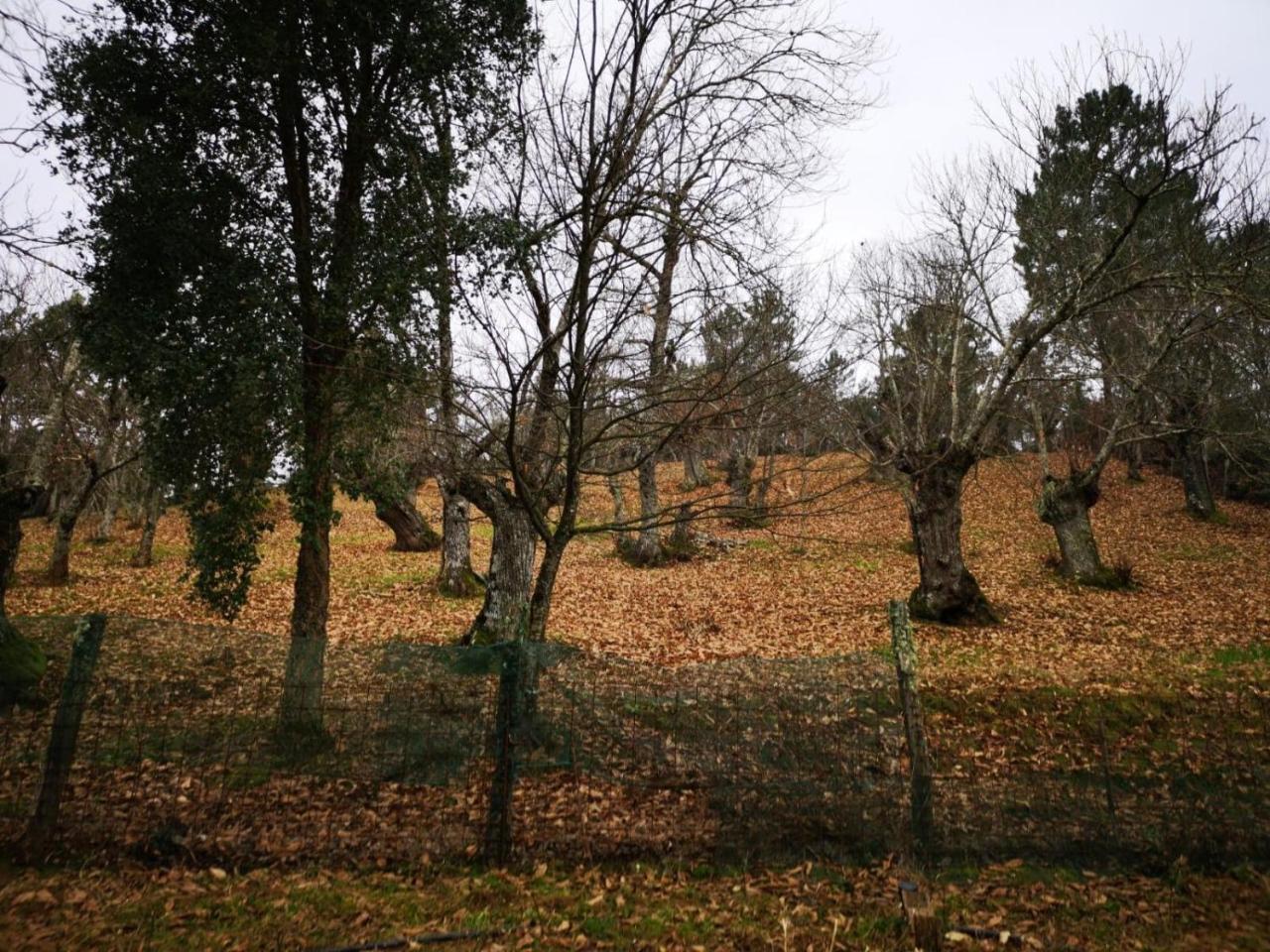 Valle Granado Fuenteheridos Extérieur photo